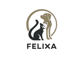 Felixa logo